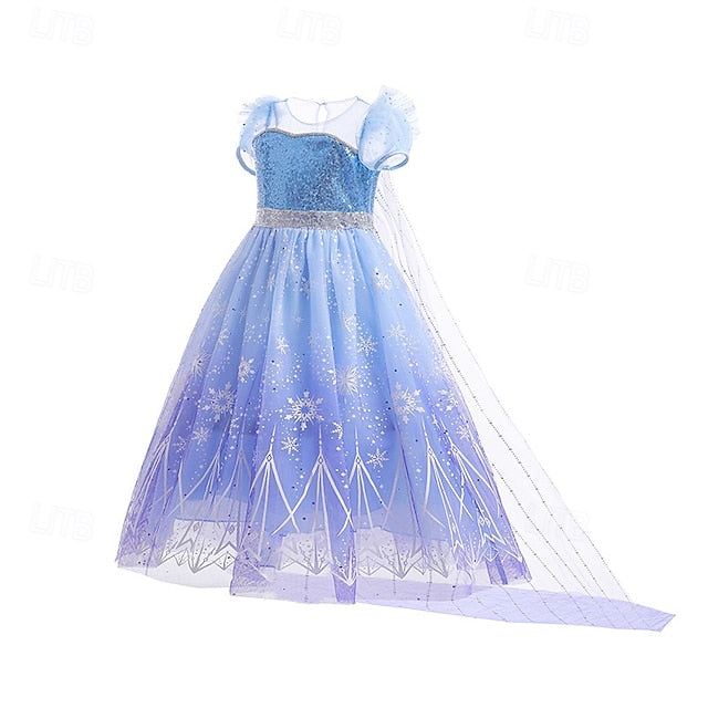 Girl Princess Party Elsa Theme Frozen Dress Fairytale Flower
