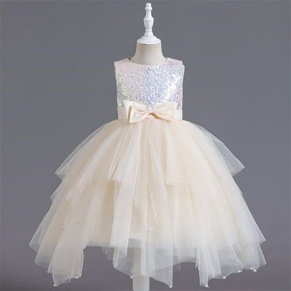 Princess Dress Kid's Flower Girls' Girl