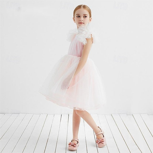 Princess Kid's Girls' Flower Dress Girl