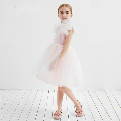 Princess Kid's Girls' Flower Dress Girl