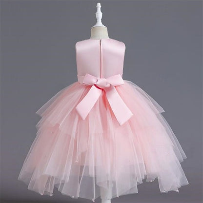 Princess Dress Kid's Flower Girls' Girl