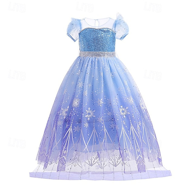 Girl Princess Party Elsa Theme Frozen Dress Fairytale Flower