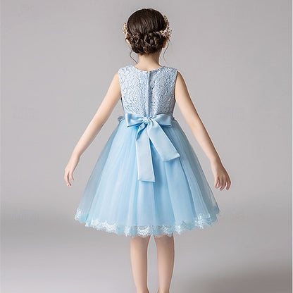 Girl Dress Flower Girls' Princess Kid's