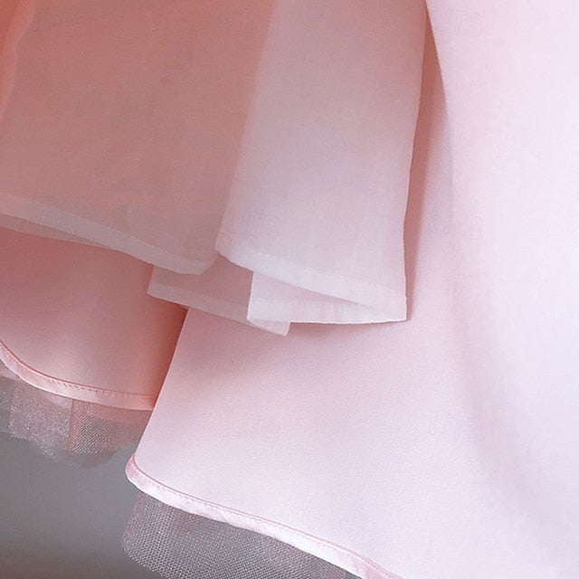 Dress Princess Kid's Girls' Girl Flower