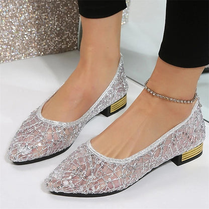 Elegant Mesh Women's Ballet Silver – Sequin Flats