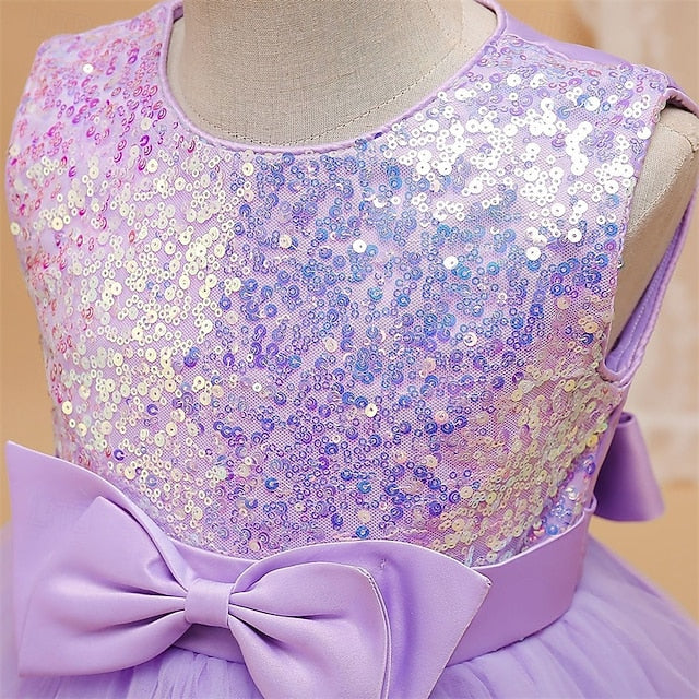 Princess Dress Kid's Flower Girls' Girl