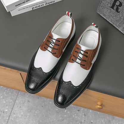Shoes Tri-Color Brogue in Black Oxford Wingtip Men's