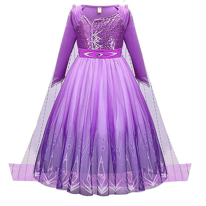 Dress Frozen Flower Party Fairytale Princess Anna Girl Theme