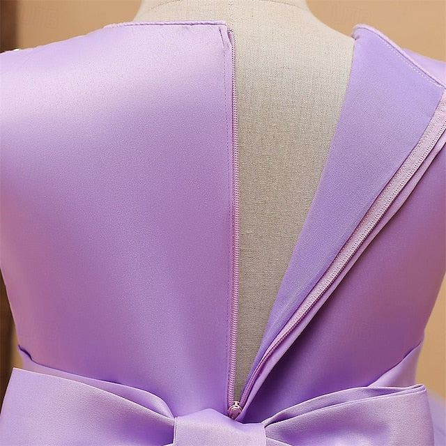 Princess Dress Kid's Flower Girls' Girl