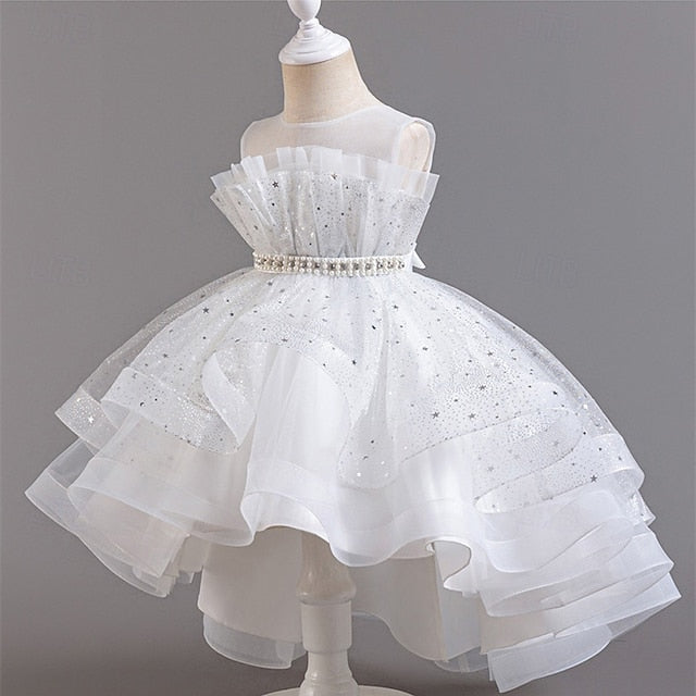 Flower Girls' Dress Girl Kid's Princess