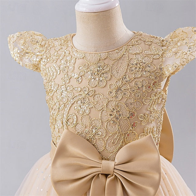 Kid's Girls' Flower Dress Girl Princess