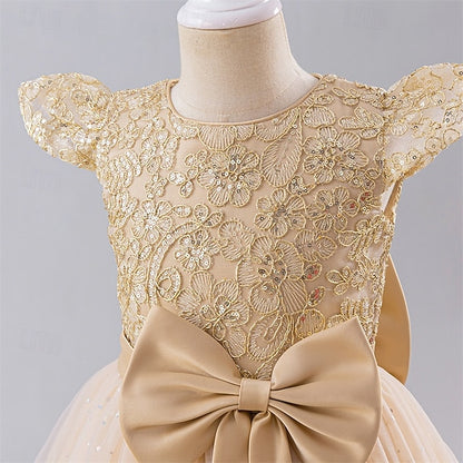 Kid's Girls' Flower Dress Girl Princess