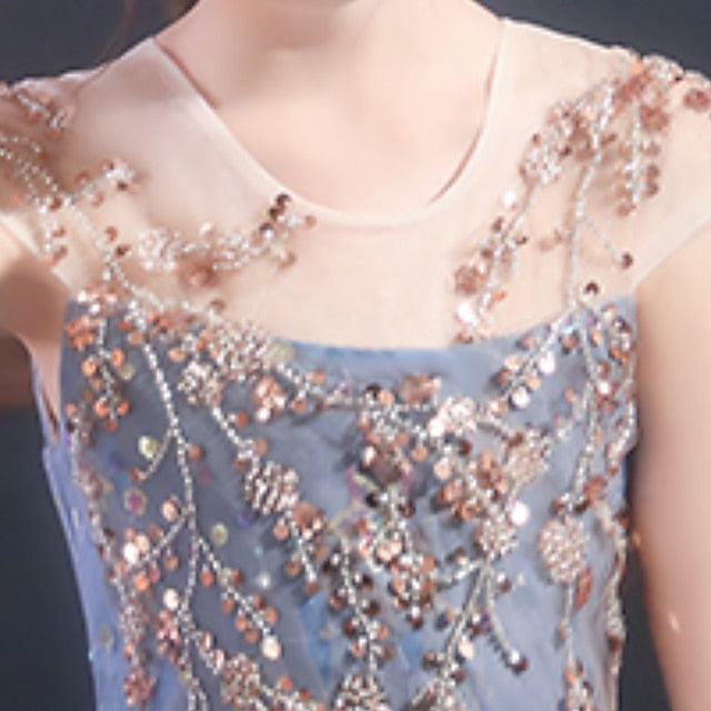 Performance Short Sleeve Dress Kids Girls' Sequin Party