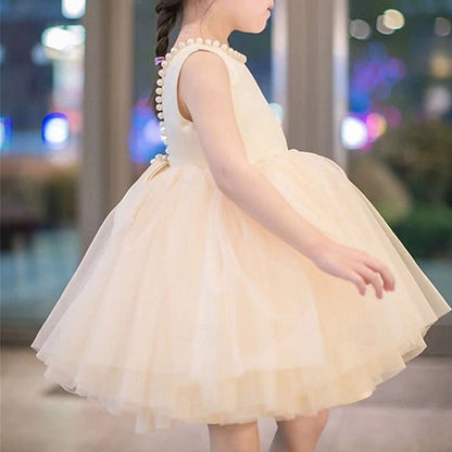Dress Princess Kid's Girls' Girl Flower