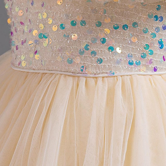 Kids Party Sequin Sleeveless Girls' Dress Girl Flower
