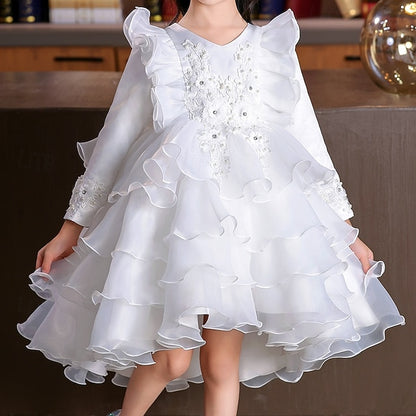 Girls' Dress Party Flower Wedding Special Sleeve Kids Long