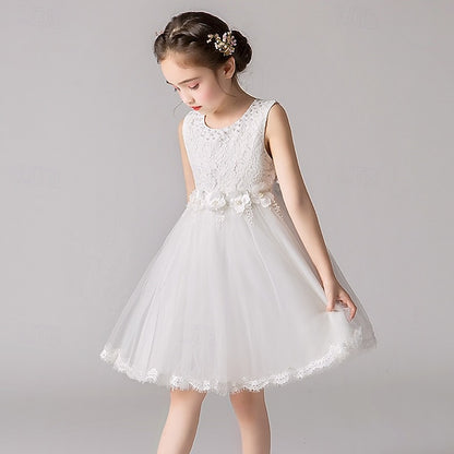 Girl Dress Flower Girls' Princess Kid's