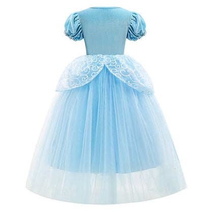 Party Fairytale Dress Cinderella Theme Princess Flower Girl