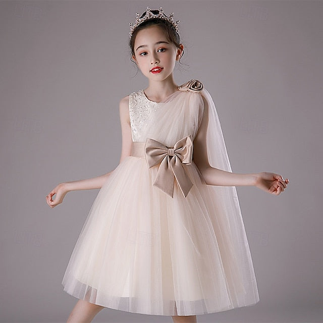 Girls' Kid's Dress Flower Girl Princess