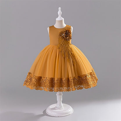 Girl Flower Kid's Dress Girls' Princess