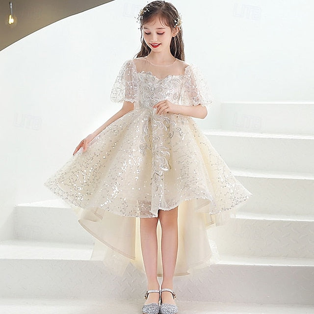 Girl Kid's Flower Girls' Princess Dress