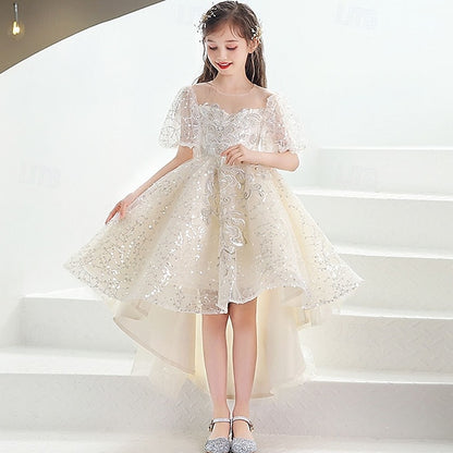 Girl Kid's Flower Girls' Princess Dress