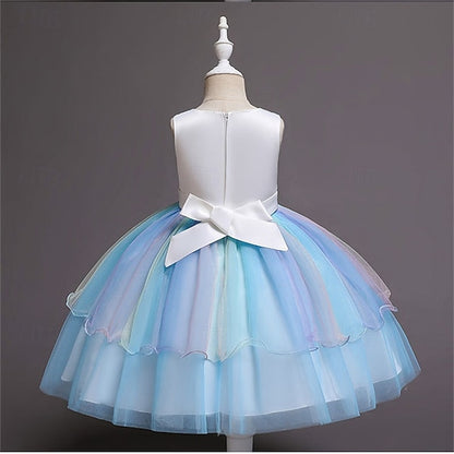 Princess Flower Dress Girl Kid's Girls'