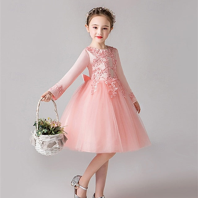 Girls' Dress Kid's Flower Girl Princess