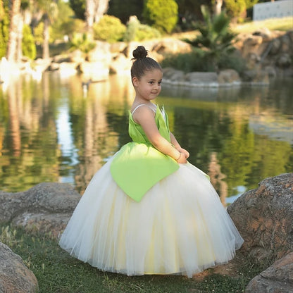 Dress Tiana Princess Girl Bell Flower Tinker Theme Fairytale