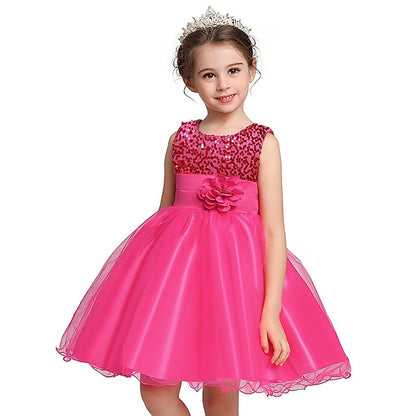 Party Wedding Girl Girls' Flower Dress