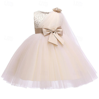 Flower Kid's Girl Princess Dress Girls'