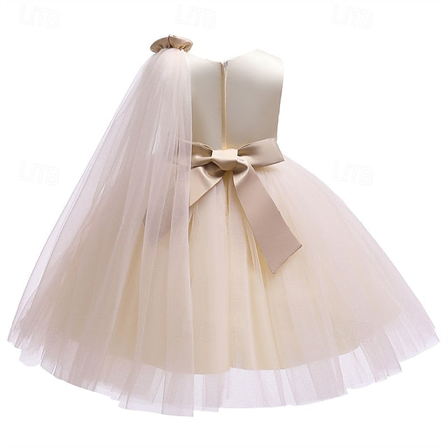 Flower Kid's Girl Princess Dress Girls'