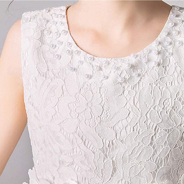 Girl Dress Flower Girls' Princess Kid's