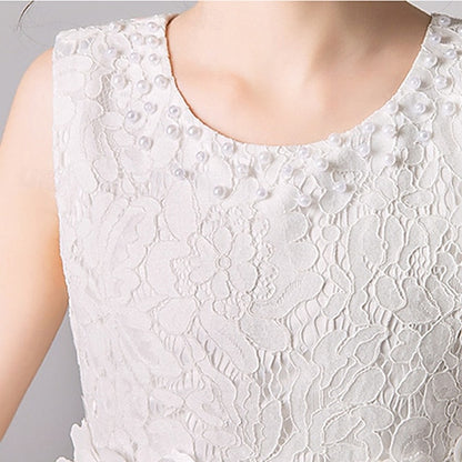 Girl Dress Flower Girls' Princess Kid's