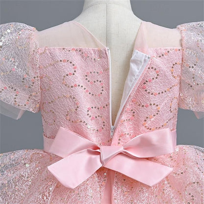 Performance Girls' Girl Dress Wedding Party Flower