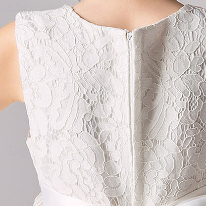 Girl Dress Flower Girls' Princess Kid's