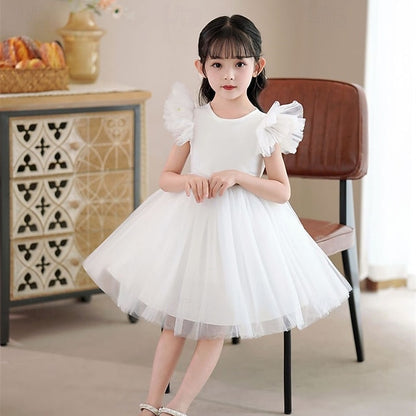 Princess Kid's Girls' Flower Dress Girl