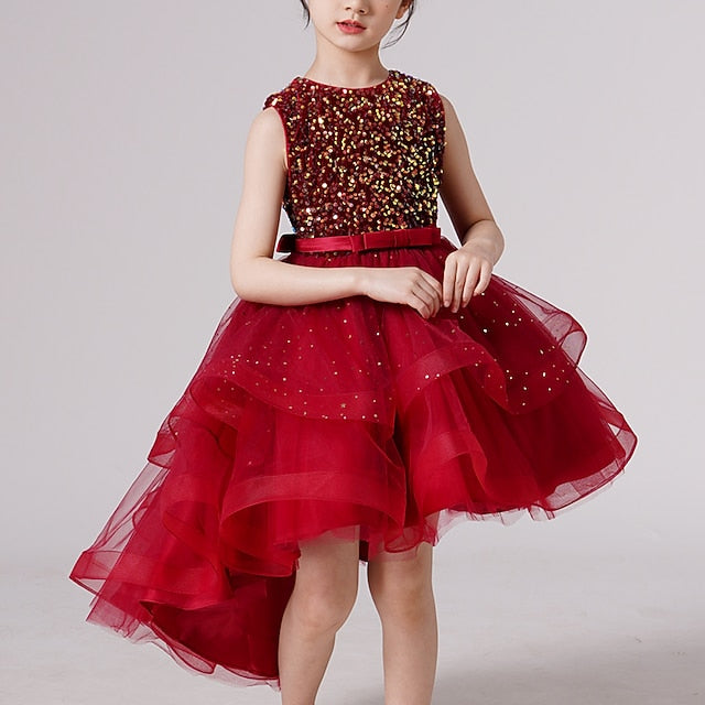 Princess Party Girl Girls' Flower Dress