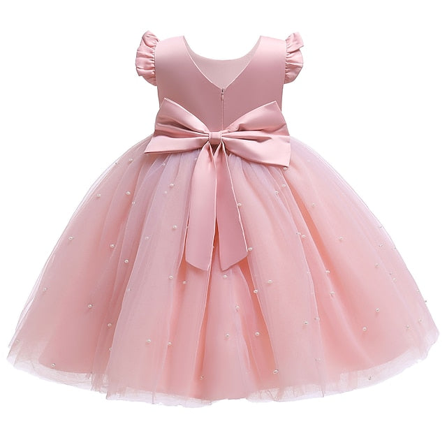 Flower Princess Dress First Communion Girl Girls'