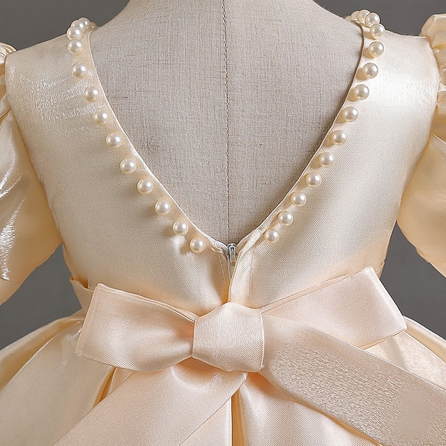 Special Girls' Girl Party Wedding Flower Dress