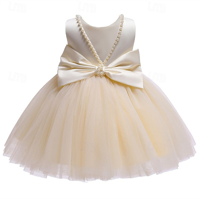 Girl Kid's Dress Princess Flower Girls'