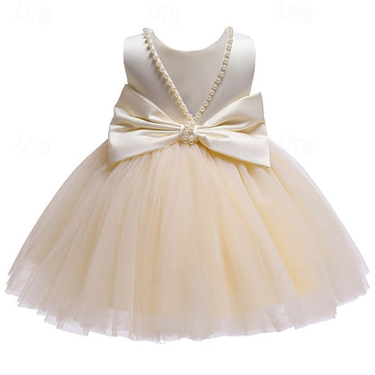 Dress Princess Kid's Girls' Girl Flower