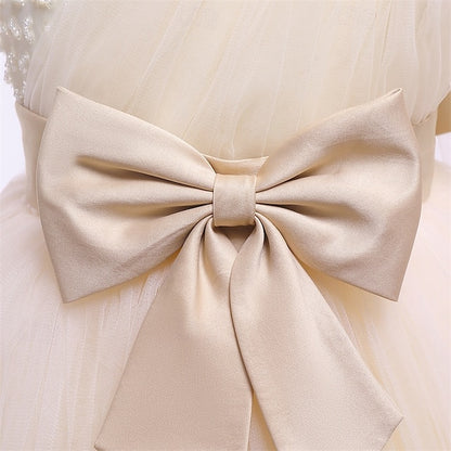 Girls' Kid's Dress Flower Girl Princess