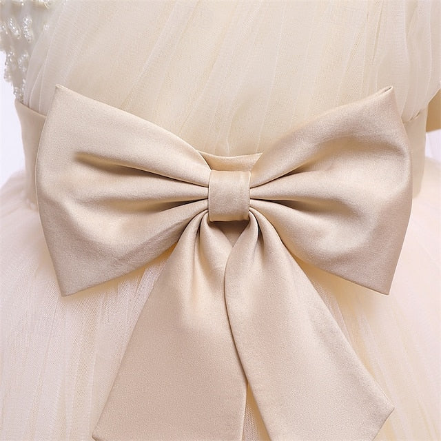 Flower Kid's Girl Princess Dress Girls'