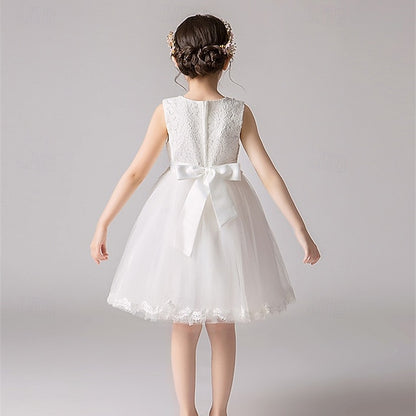 Girl Dress Flower Girls' Princess Kid's