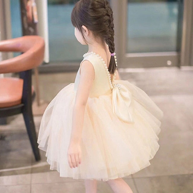 Girl Kid's Dress Princess Flower Girls'