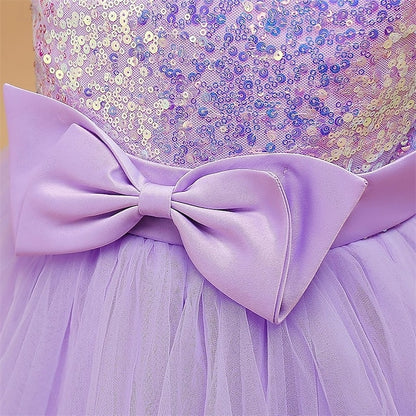 Princess Dress Kid's Flower Girls' Girl