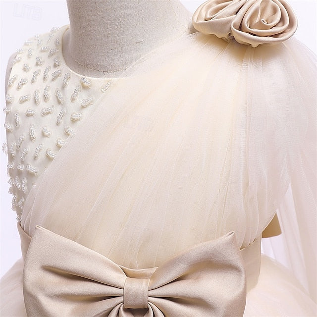 Flower Kid's Girl Princess Dress Girls'