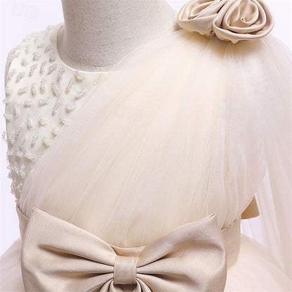 Flower Kid's Girl Princess Dress Girls'