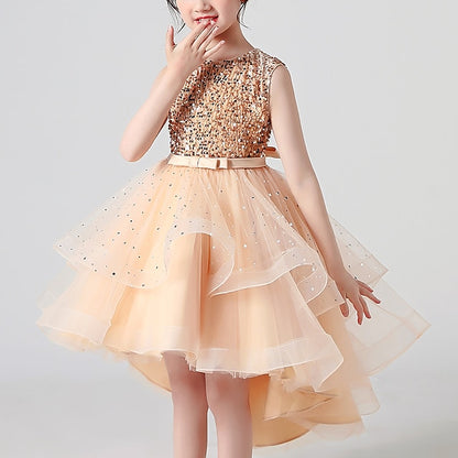 Princess Party Girl Girls' Flower Dress